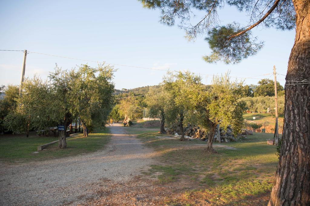 Agriturismo Poggetto Larciano Exterior foto